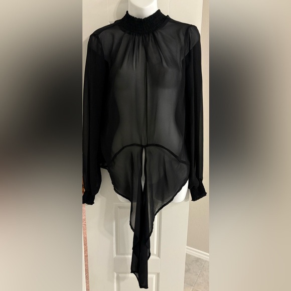 Elegant sheer Smocked Mock Neck Tie Front Top - Picture 3 of 5